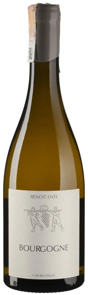Акція на Вино Benoit Ente Bourgogne Chardonnay белое сухое 0.75л (BWR8540) від Stylus