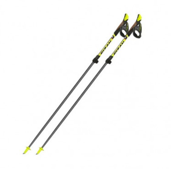 

Fizan S_23 Nordic Walking S20 CA07 Nw Carbon Pro