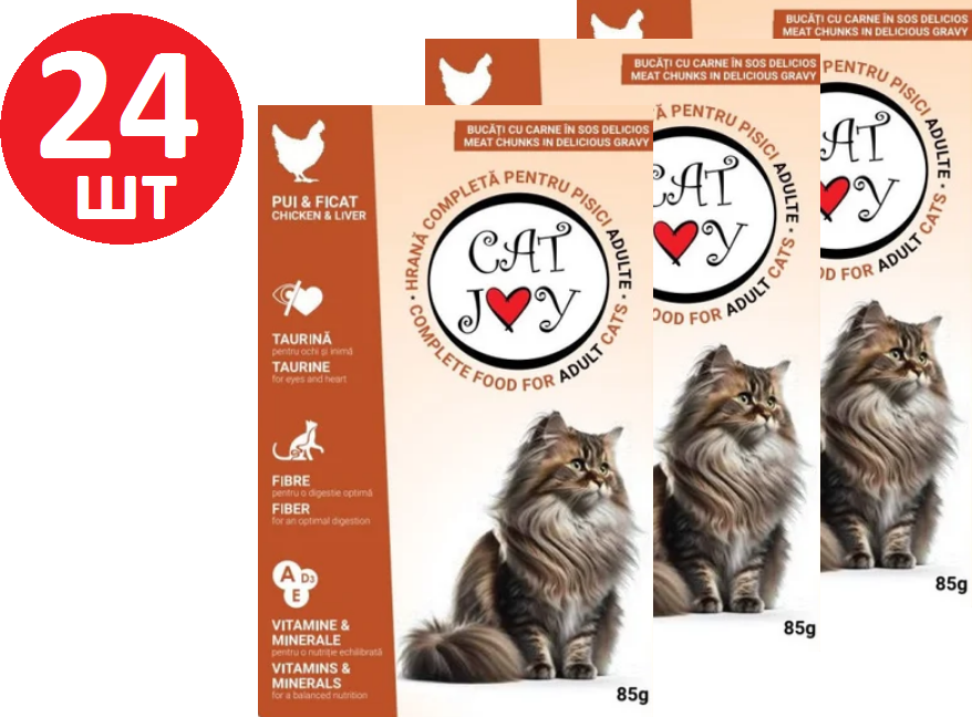 Акція на Влажный корм для котов Cat Joy с курицей и печенью в соусе 24х85 г (5949060224108) від Stylus