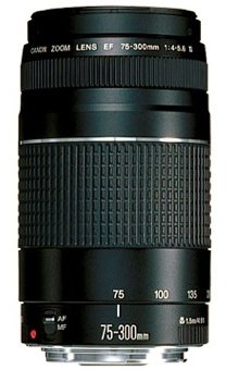 

Canon Ef 75-300mm f/4-5.6 Iii (6473A015)