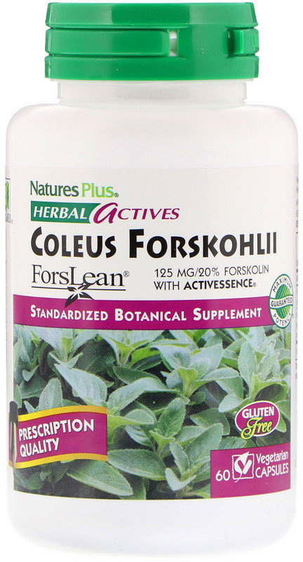 Акція на Nature's Plus, Herbal Actives, Coleus Forskohlii, 125 mg, 60 Vegetarian Capsules (NAP-07170) від Stylus