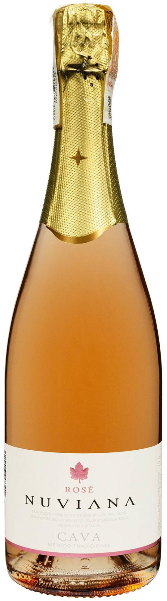 

Вино игристое Codorniu Cava Nuviana Rose розовое сухое 0.75 л (FSH_8410013008511)