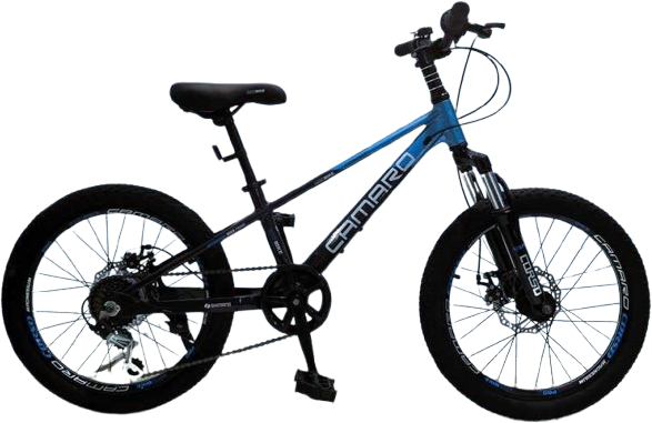 

Дитячий спортивний велосипед Corso Camaro 20" дюймів (CM-48526)