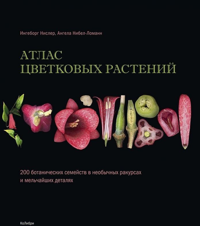 

Ингеборг Нислер , Ангела Нибел-Ломанн: Атлас цветковых растений : 200 ботанических семейств в необычных ракурсах и мельчайших деталях