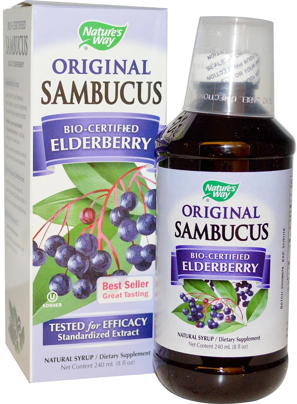 Акція на Nature's Way Sambucus Immune Elderberry Standardized 8 fl oz (240 ml) Черная бузина від Stylus