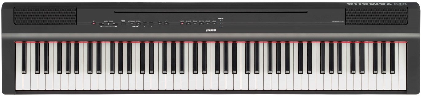 

Цифровые фортепиано Yamaha P-125A (Black)