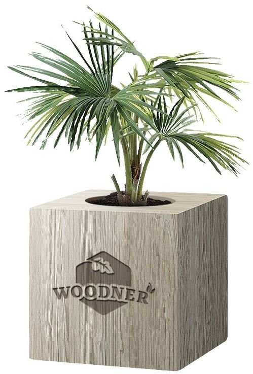 

Экокуб Woodner Зелёный Питомец Финик везунчик