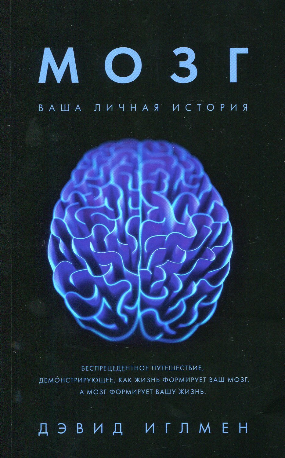 

Дэвид Иглмен. Мозг. Ваша личная история
