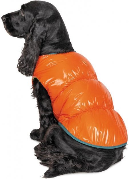 Акція на Жилет Pet Fashion "SPRING" помаранчевий XS2 (4823082420452) від Y.UA